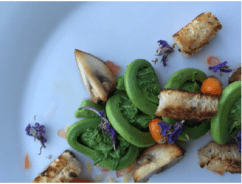 Salade têtes violon-argousier